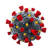 covid2 A close up of the structure of a virus